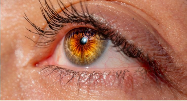 How To Protect Eyes From UV Rays Year Round