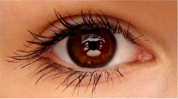 Best Foods for Retinal and Macular Health Top Picks