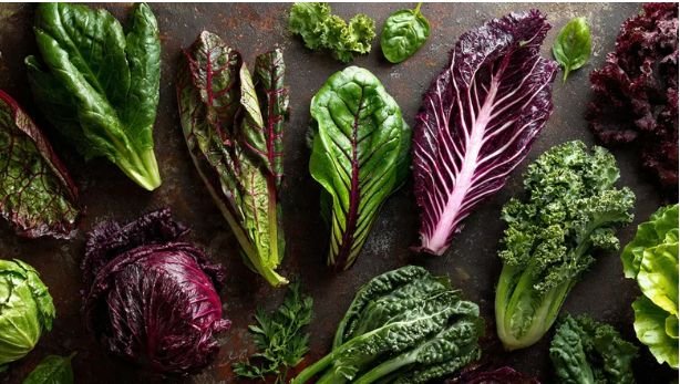 Dark Leafy Greens for Lutein and Zeaxanthin