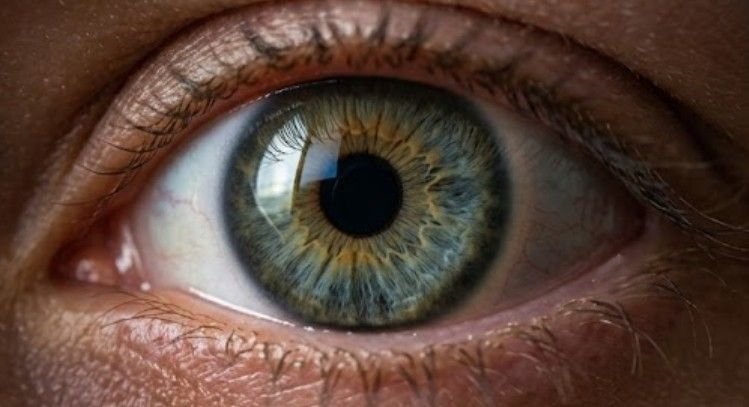 Give Your Eyes a Break